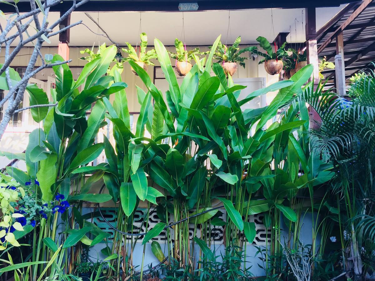 Goodmorning By Tamarind Hostel Phra Nakhon Si Ayutthaya Exterior foto